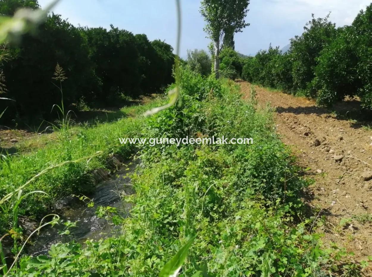 Farm For Sale In Köyceğiz Beyoba Bargain