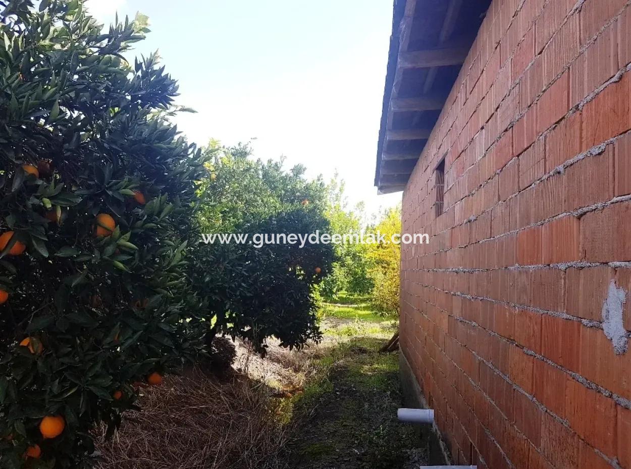 Detached Village House For Sale In Ta Yeşilyurt