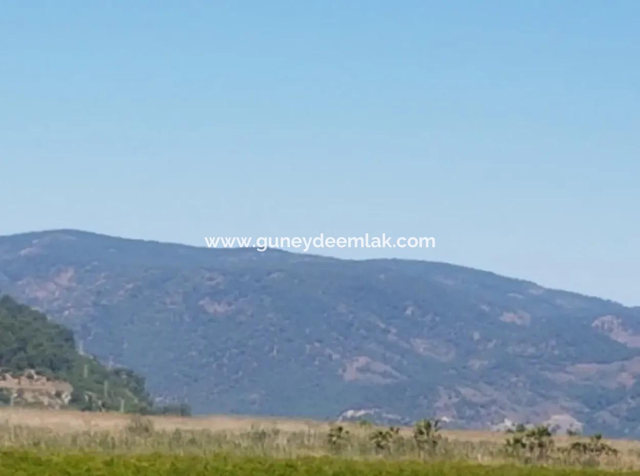 Garden Of Pomegranates For Sale In Dalyan