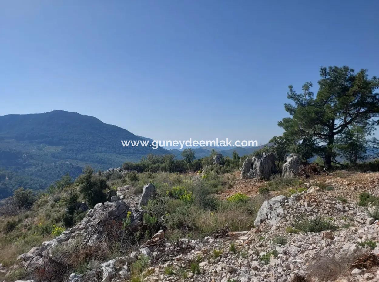 1 300 M2 63 M2 Zoned Land For Sale In Gocek Gökçeovacik