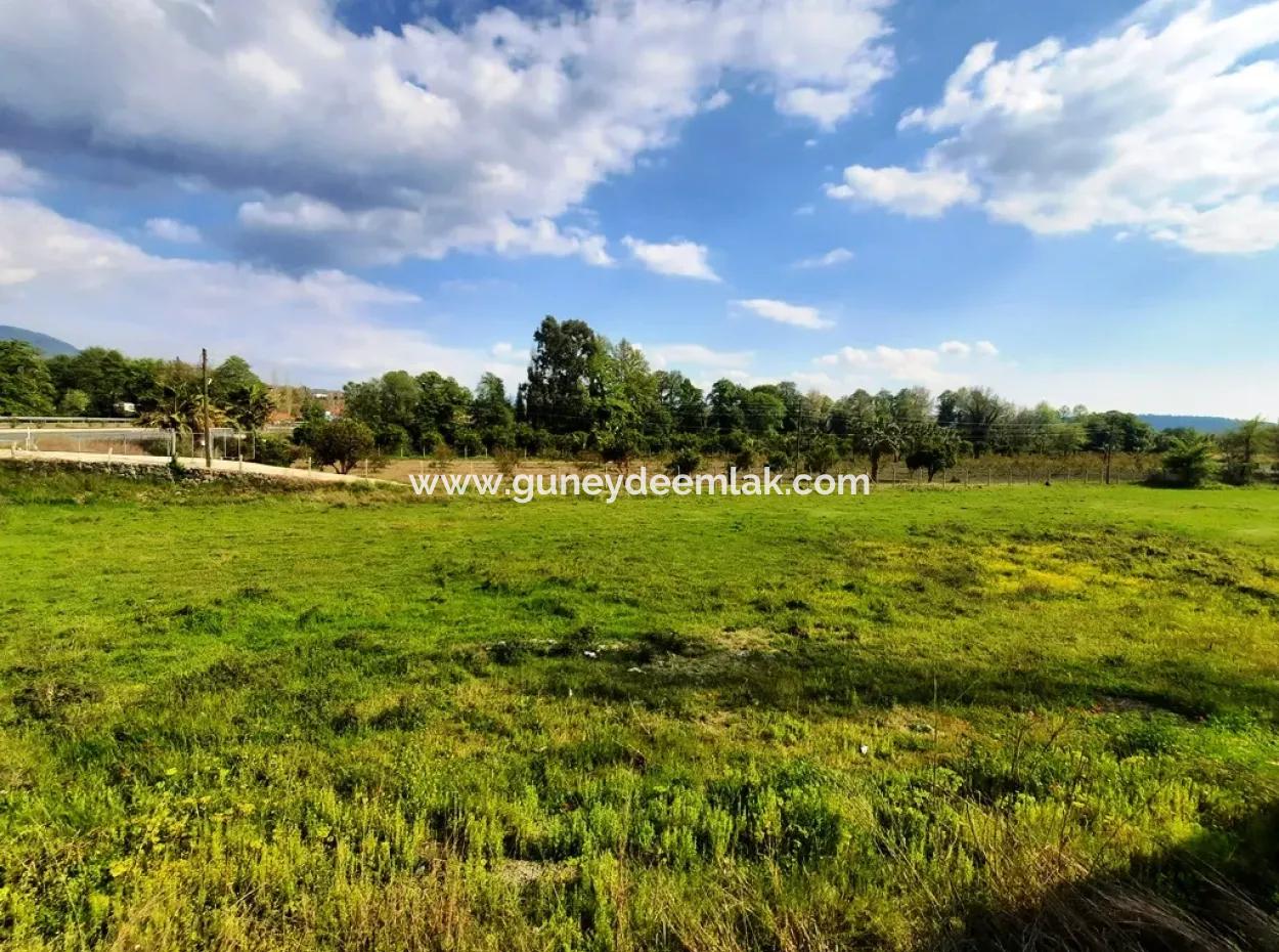 Köyceğiz Yangida Main Road Zero Investment Suitable Bargain Land For Sale