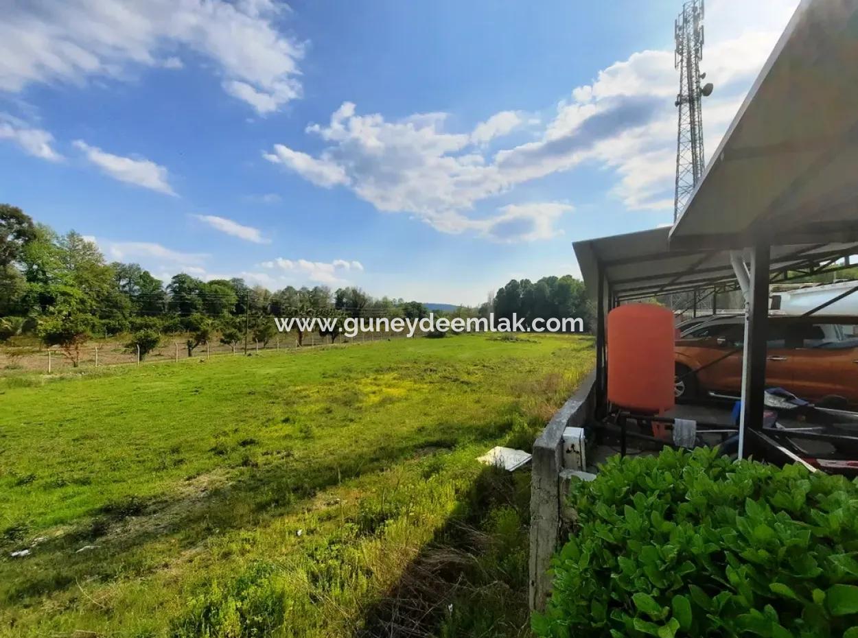 Köyceğiz Yangida Main Road Zero Investment Suitable Bargain Land For Sale