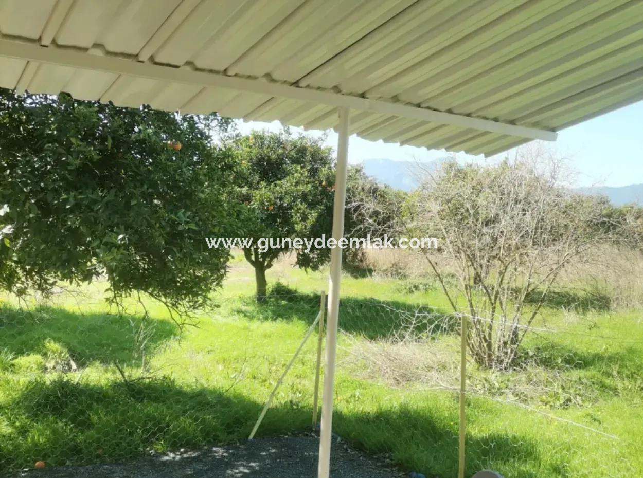 Ortaca Tepearası Mah. 2 1 Garden Floor Apartment For Rent