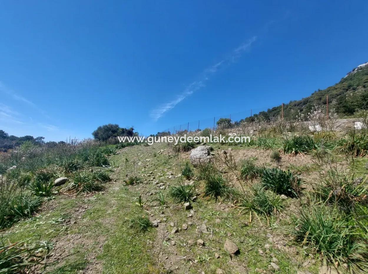 Ortaca Gökbelde Detached 12 132M2 Bargain Land In Nature For Sale