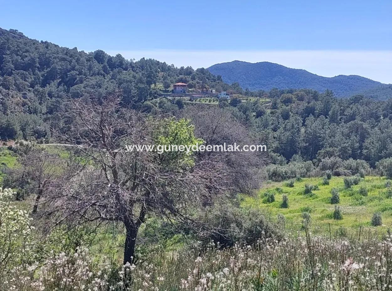Ortaca Gökbelde Detached 12 132M2 Bargain Land In Nature For Sale