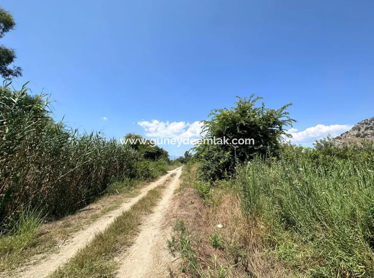 970 M2 Rızai Taksimli Share For Sale In Dalyan