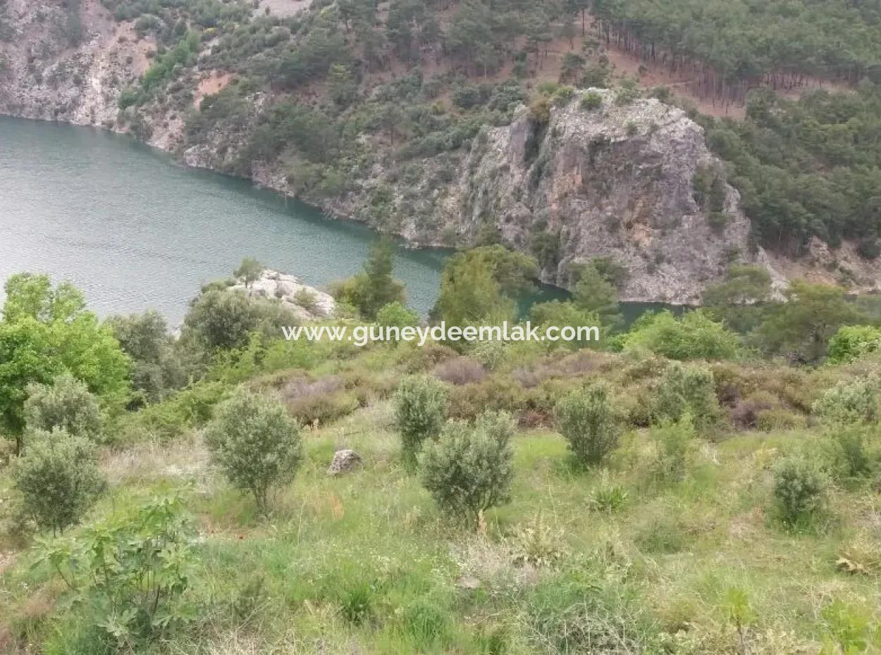 Farmland For Sale In Dalaman Bozbel Also With Views Of The Lake Dam