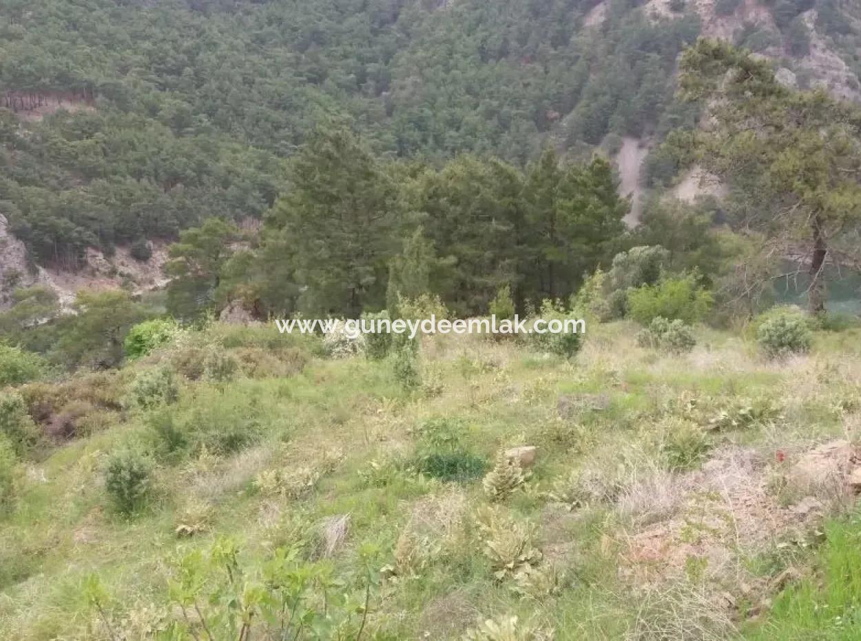 Farmland For Sale In Dalaman Bozbel Also With Views Of The Lake Dam