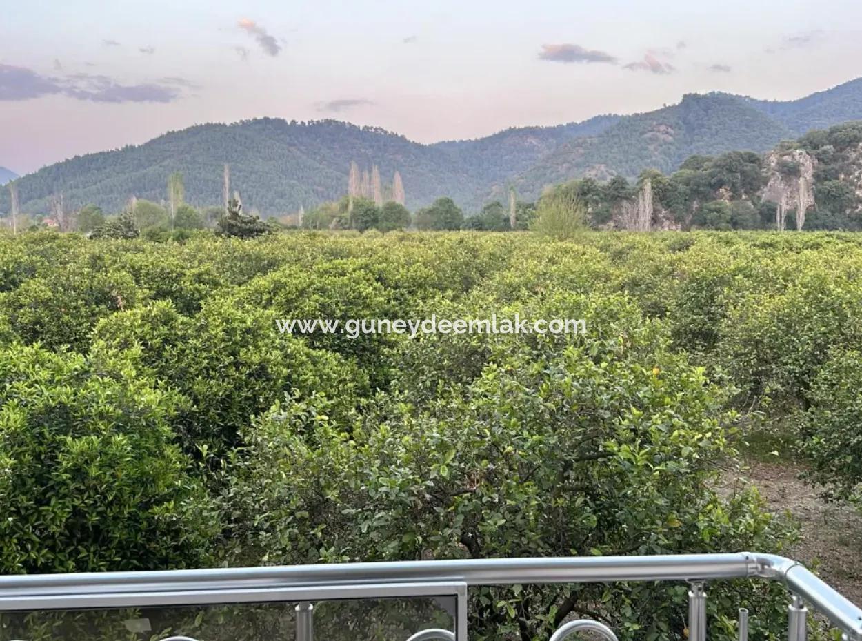 3 1 Apartment For Rent In Ortaca Okçular