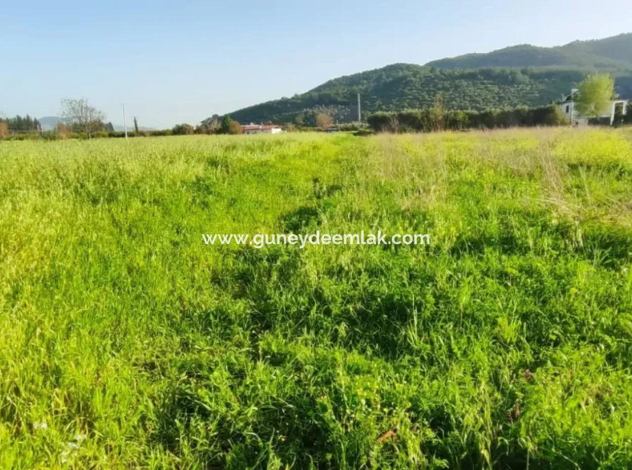 Rızai Taksimli 798 M2 Field For Sale In Muğla Ortaca Fevziye Neighborhood