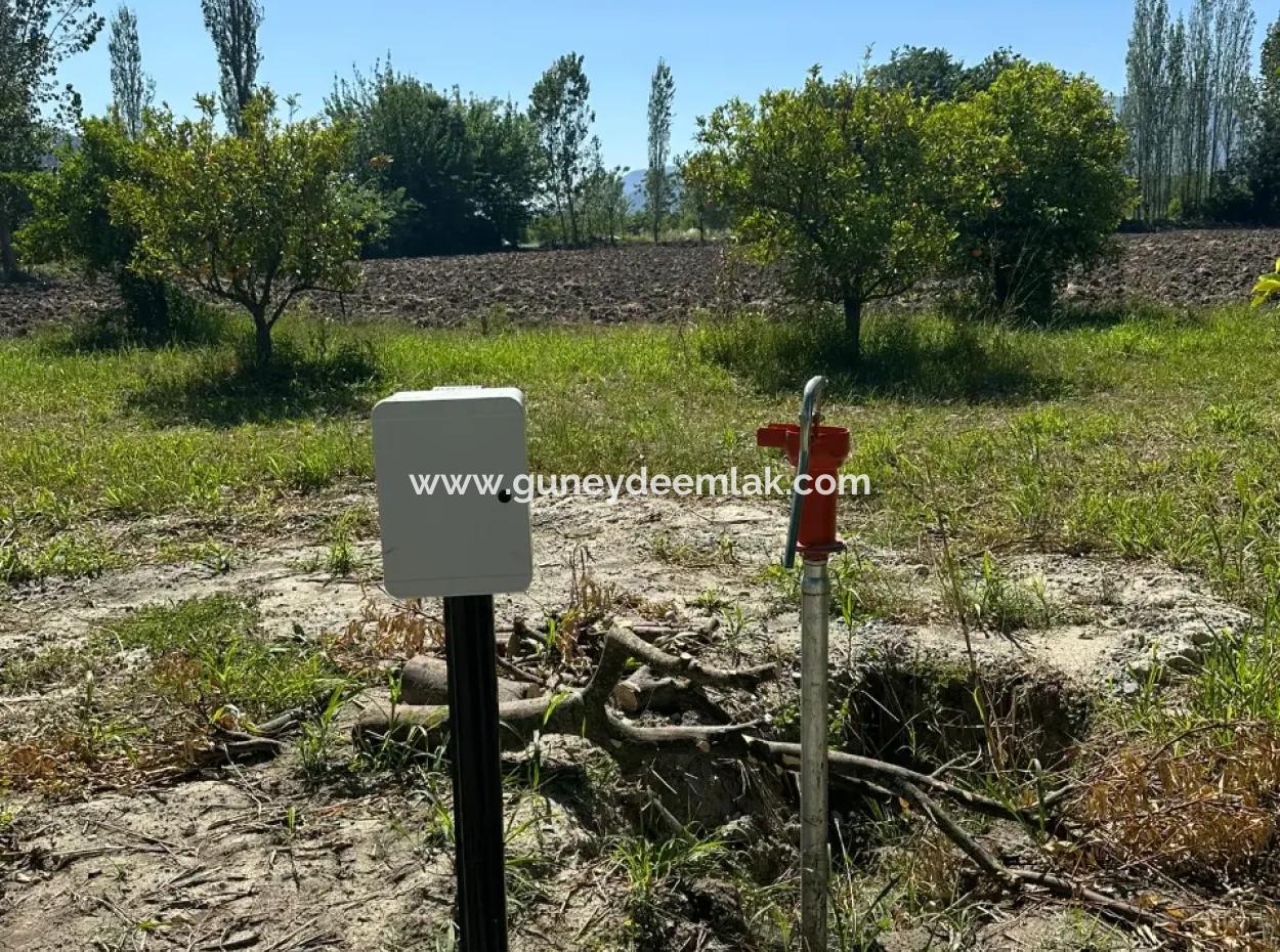 Archers Also For Sale 500 M2