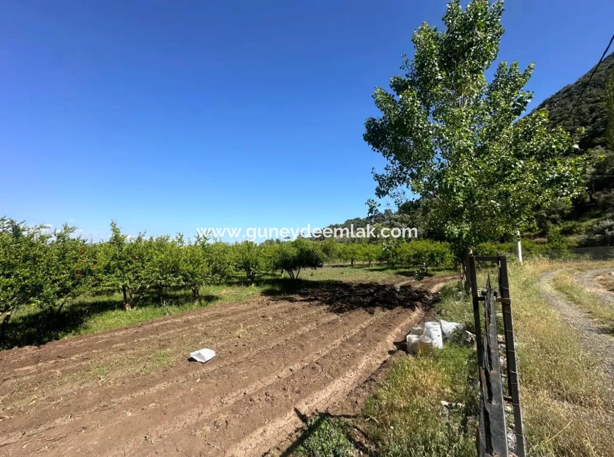 Ortaca Mergenlide Mountain Side, 1 700 M2 Zoned Bargain Land For Sale