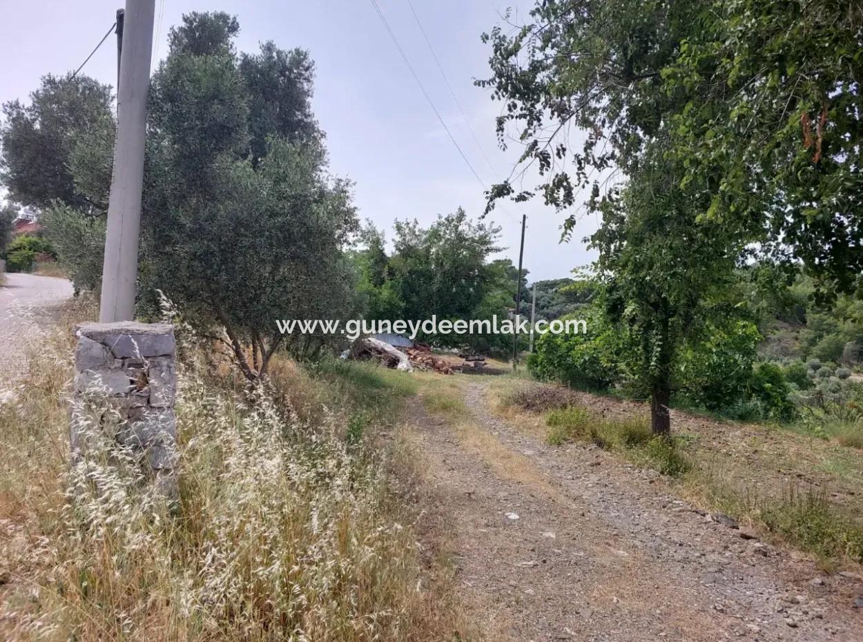 18 Villas Suitable For Mass Housing In Dalaman, 6 165 M2 Zoned Land For Sale