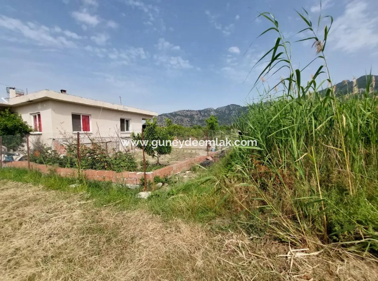 1.500 M2 Detached Field For Sale In Dalyan
