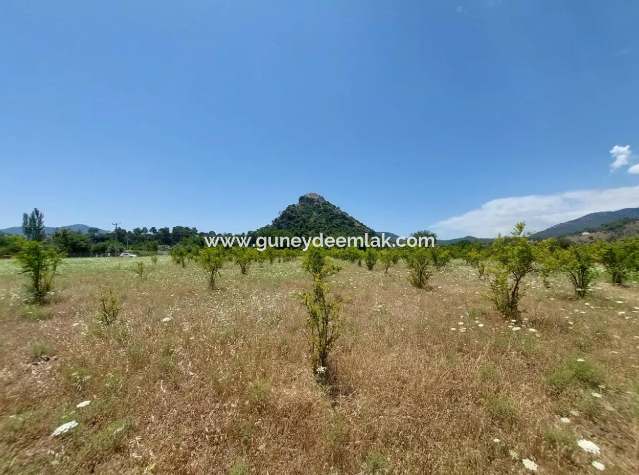 Köyceğiz Çandırda Detached Title Deed 33.800 M2 Field For Sale