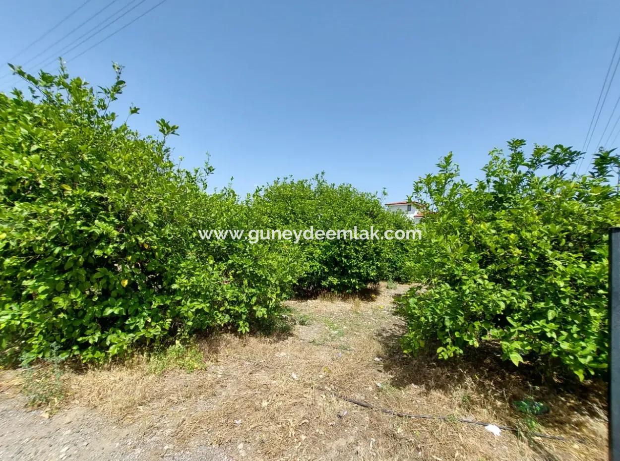 Muğla Ortaca Ekşiliyurtta Residential Zoned Detached 2 000M2 Land For Sale