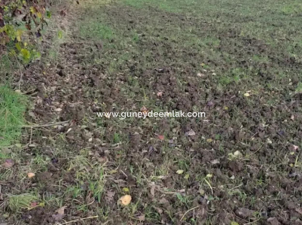 11 450 M2 Field For Sale In Muğla Köyceğiz Köyceğiz Neighborhood