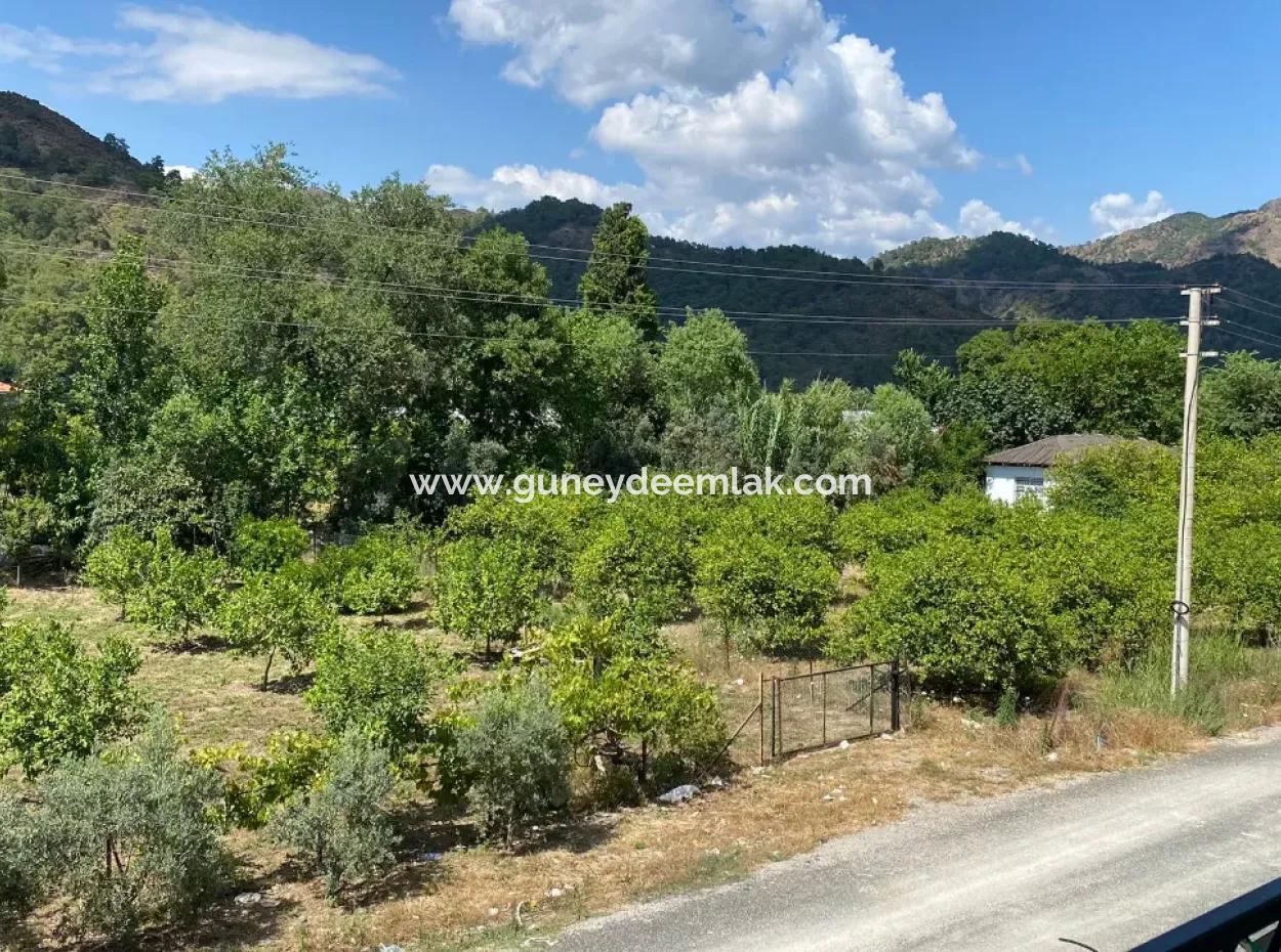 2Nd Floor 2 1 Brand New Apartment For Sale In Ortaca Çaylı 