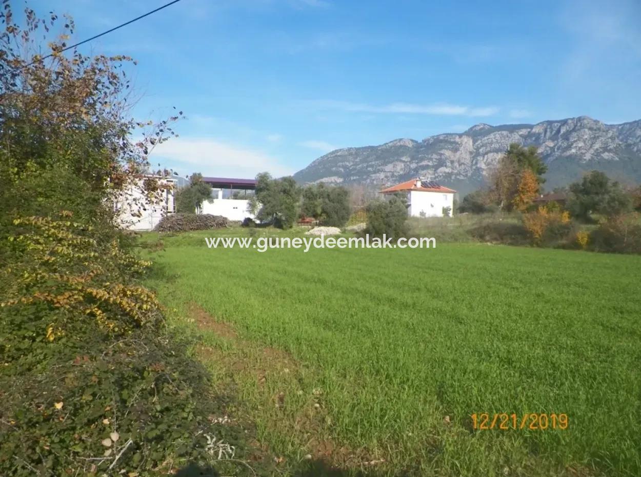Land For Sale In Bargain Detached Zeytinalani