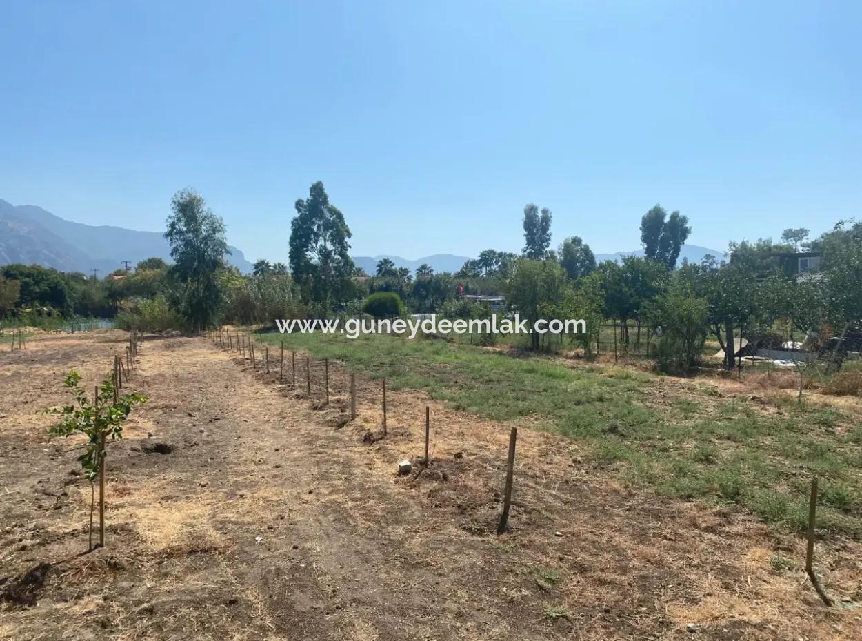 Köyceğiz Çandır Dalyan Canal Front 3210 M2 Land For Sale