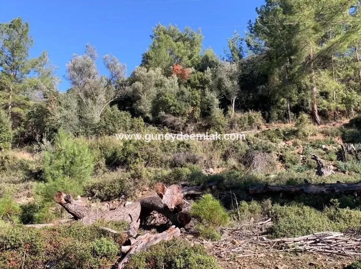 Investment Gocek Land For Sale Suitable For Te