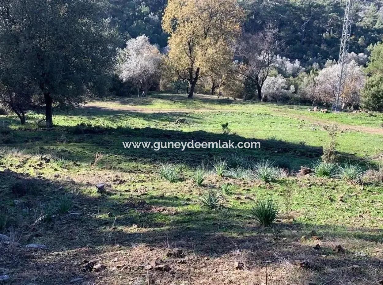 Investment Gocek Land For Sale Suitable For Te