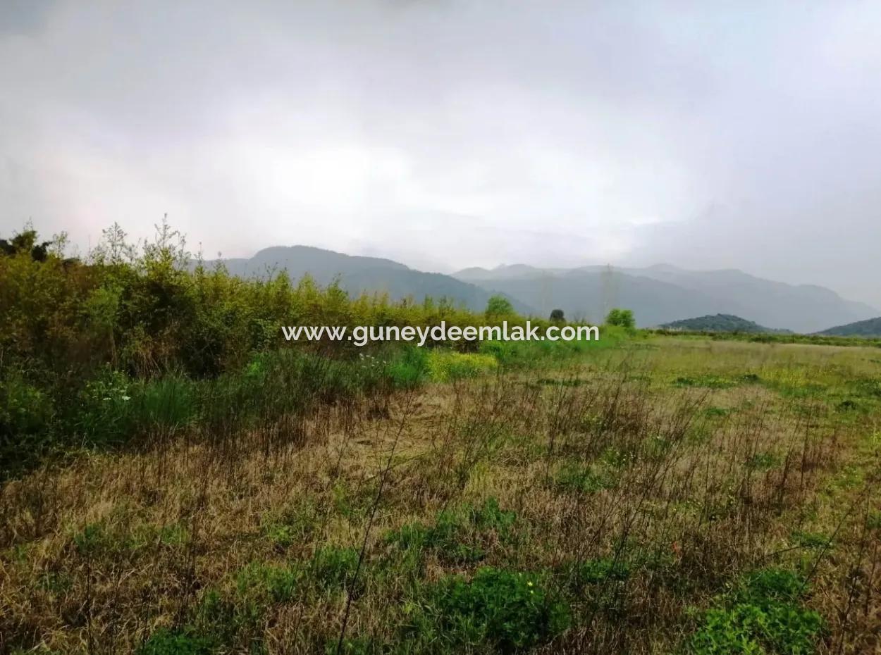 Güzelyurt For Sale Landscaped Gardens Pomegranate Ta