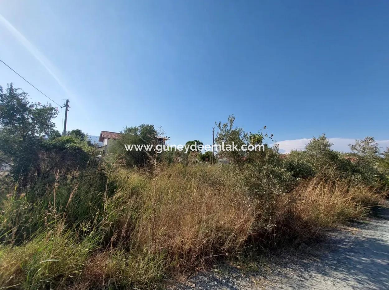 Land Zoned In Dalyan Arikbaşi Area For Sale