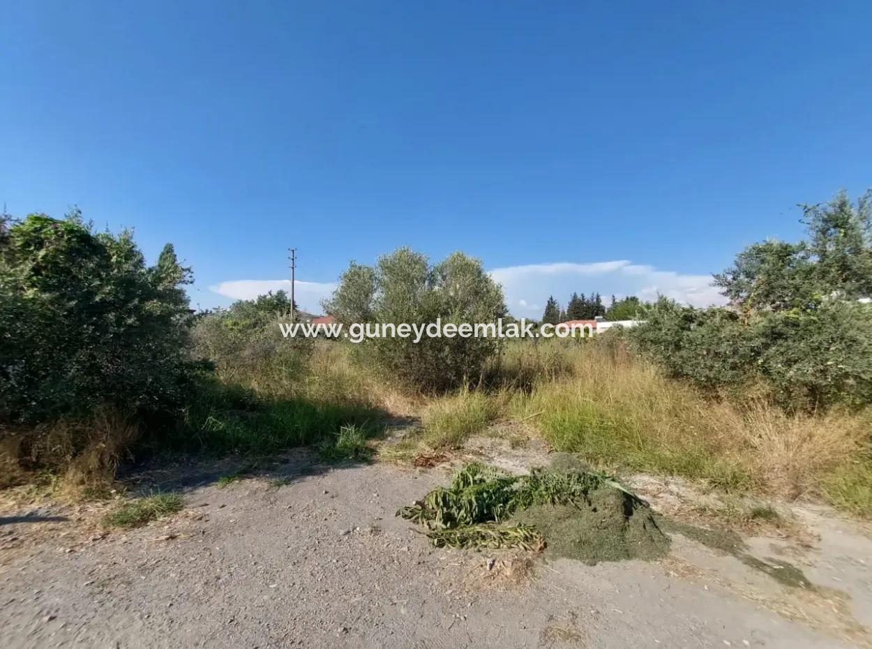 Land Zoned In Dalyan Arikbaşi Area For Sale