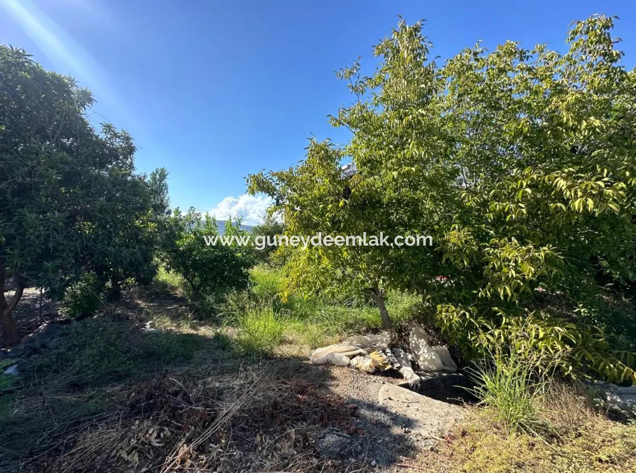 1129 M2 Zoned Land For Sale In Ortaca Dalaklı