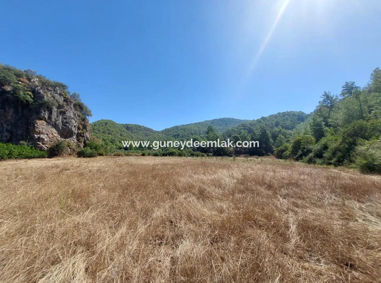 4.427 M2 Fertile Land With Mountain And Nature View In Ortaca Okçular For Sale