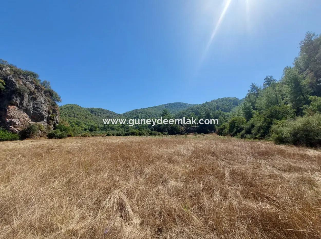 4.427 M2 Fertile Land With Mountain And Nature View In Ortaca Okçular For Sale