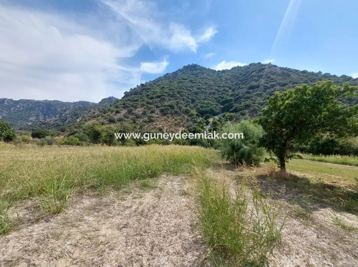 Mountainfront Fertile 1.680 M2 Land For Sale In Dalyan, Muğla