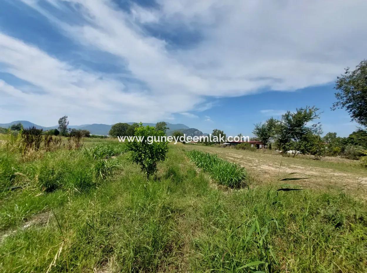 Mountainfront Fertile 1.680 M2 Land For Sale In Dalyan, Muğla