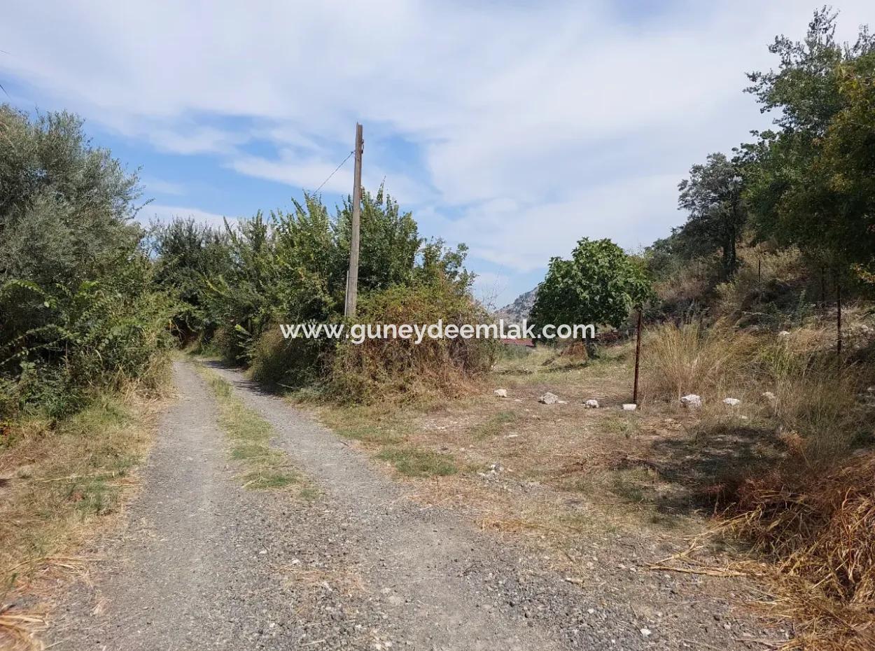 Mountainfront Fertile 1.680 M2 Land For Sale In Dalyan, Muğla