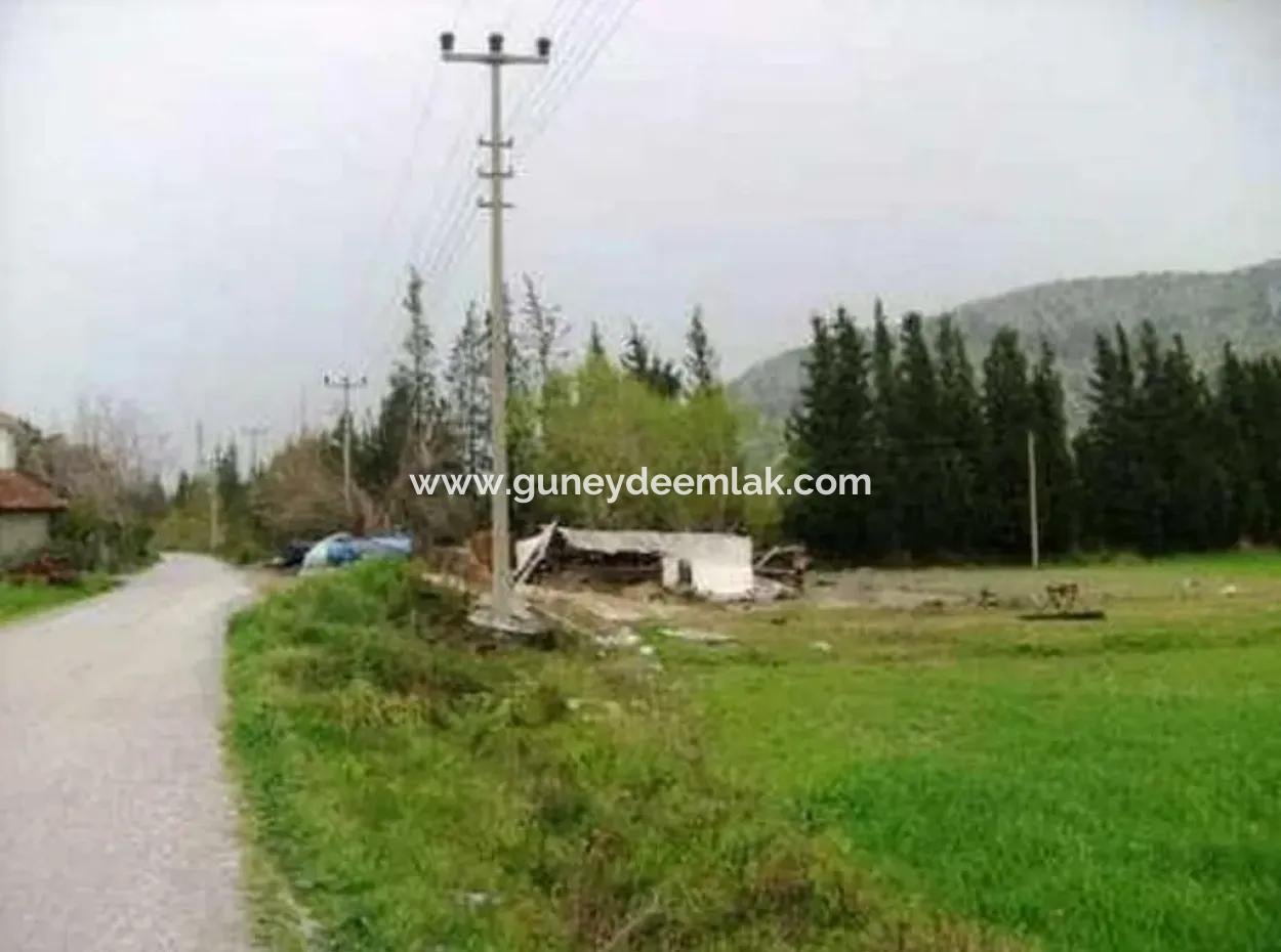 Archers Are Also For Sale, Fertile Land Suitable For Investment