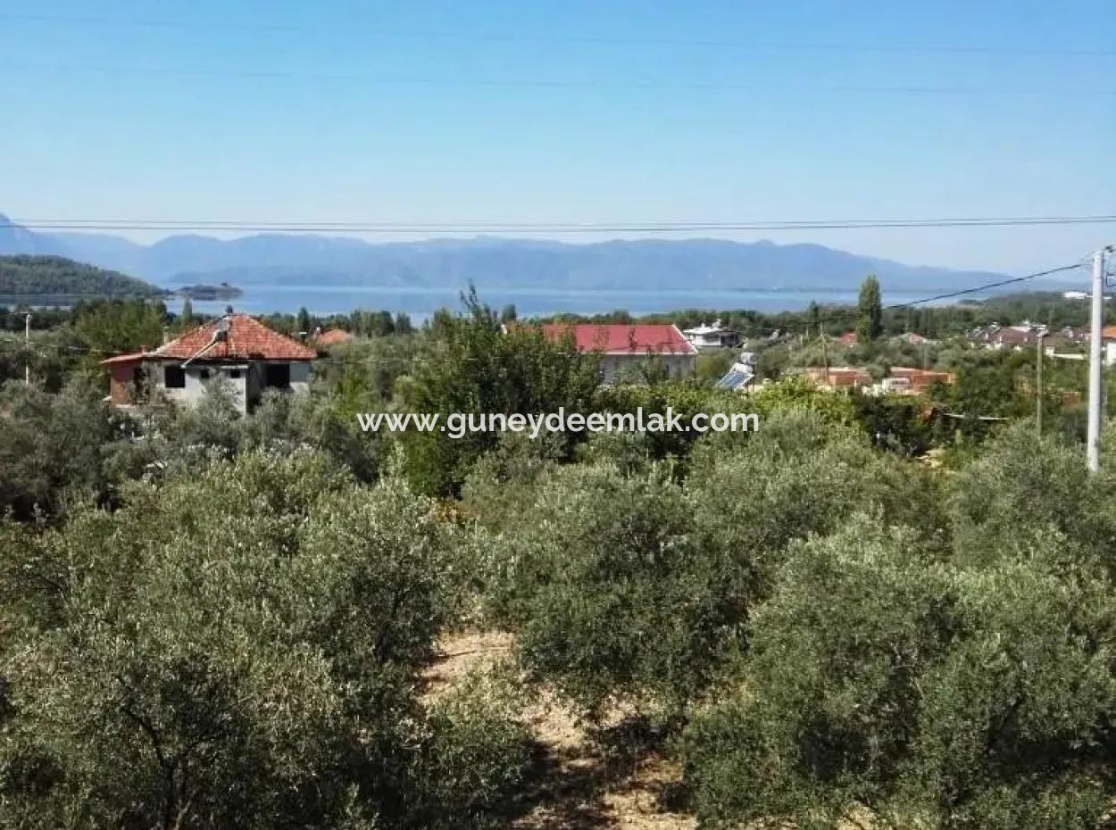 He Completed His Education At Koycegiz Lake View Home For Sale