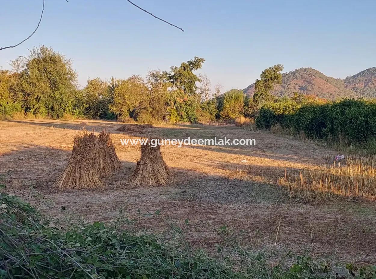 3 700 M2 Land For Sale On The Main Road In Muğla Ortaca Kemaliye