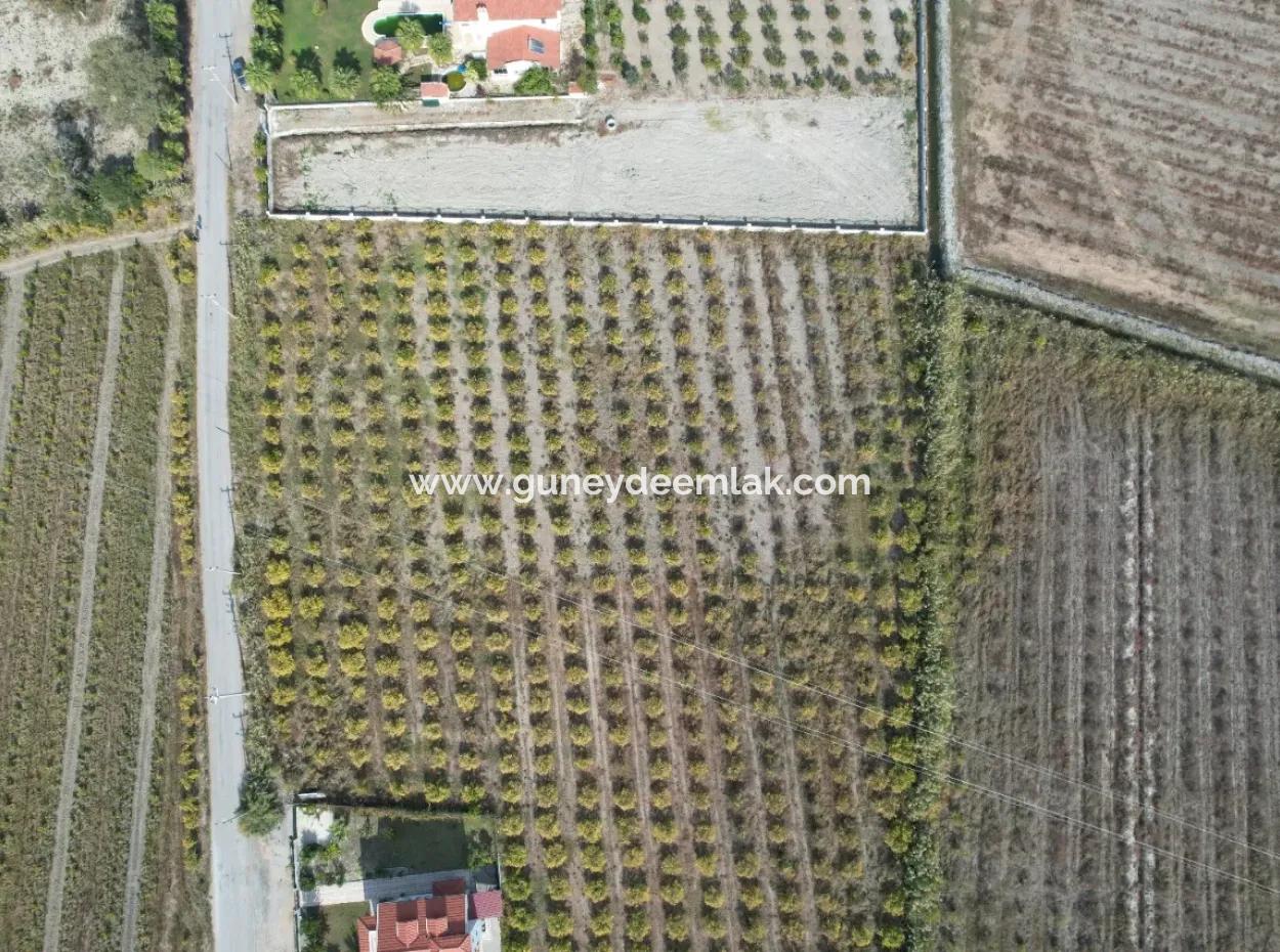 Muğla Dalyanda Canal 2Nd Parcel Detached 5.000 M2, 250 M2 Land With Construction Right For Sale