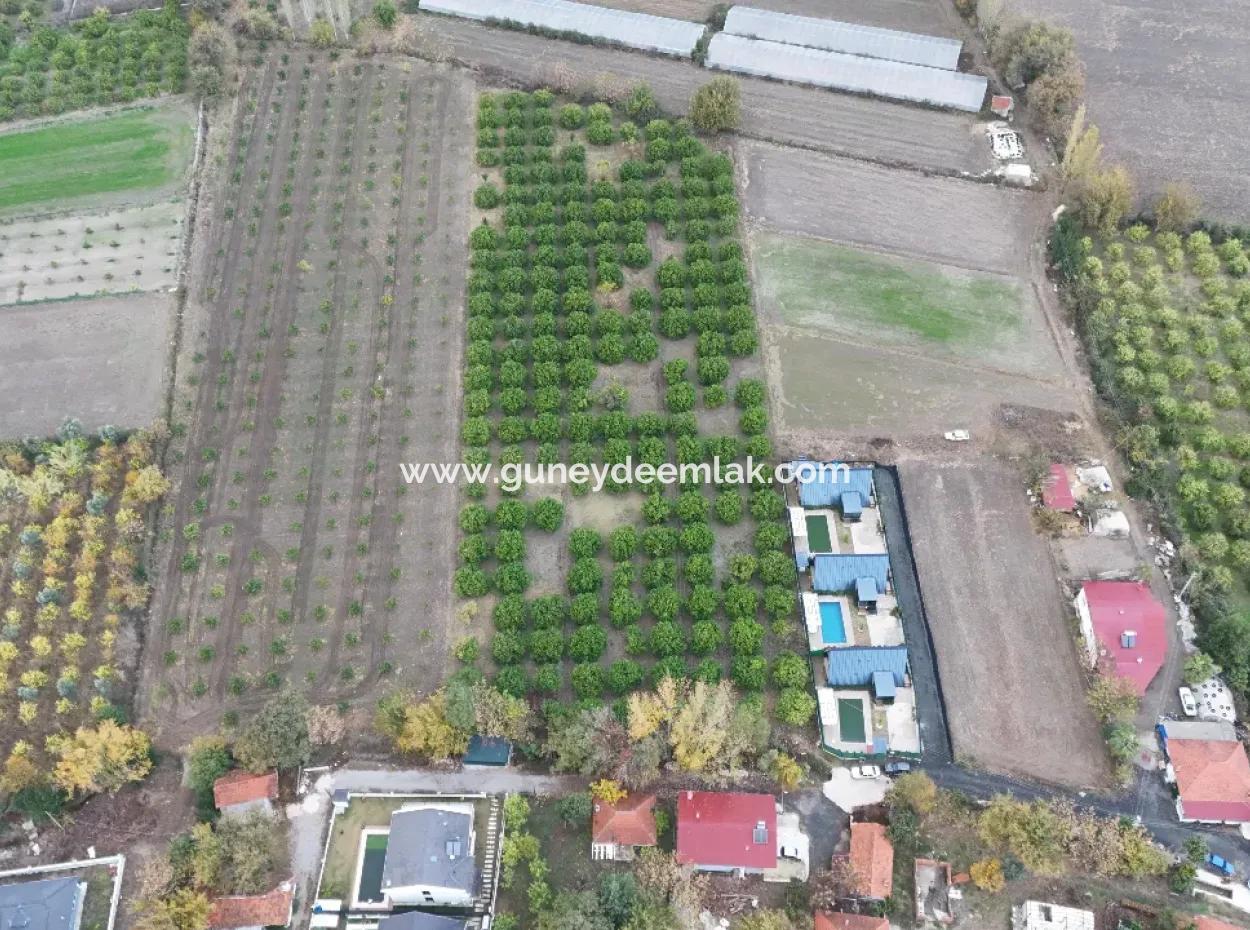 9750 M2 Land For Sale In Ortaca Okçular Zoning Plan Suitable For Investment