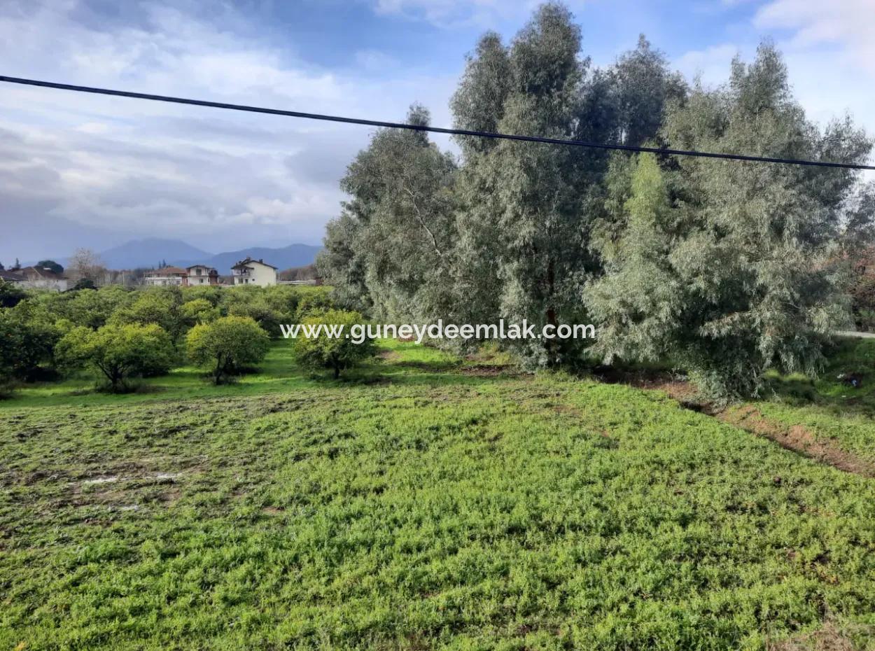 2.800 M² Commercial/Residential Zoned Land For Sale In Köyceğiz Toparlar Facing The Main Road