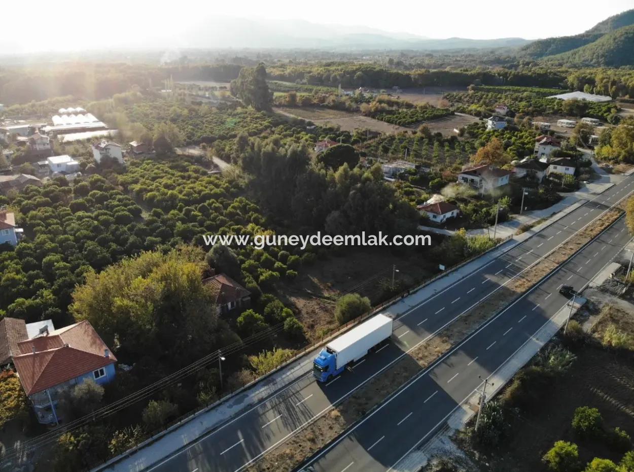 2.800 M² Commercial/Residential Zoned Land For Sale In Köyceğiz Toparlar Facing The Main Road