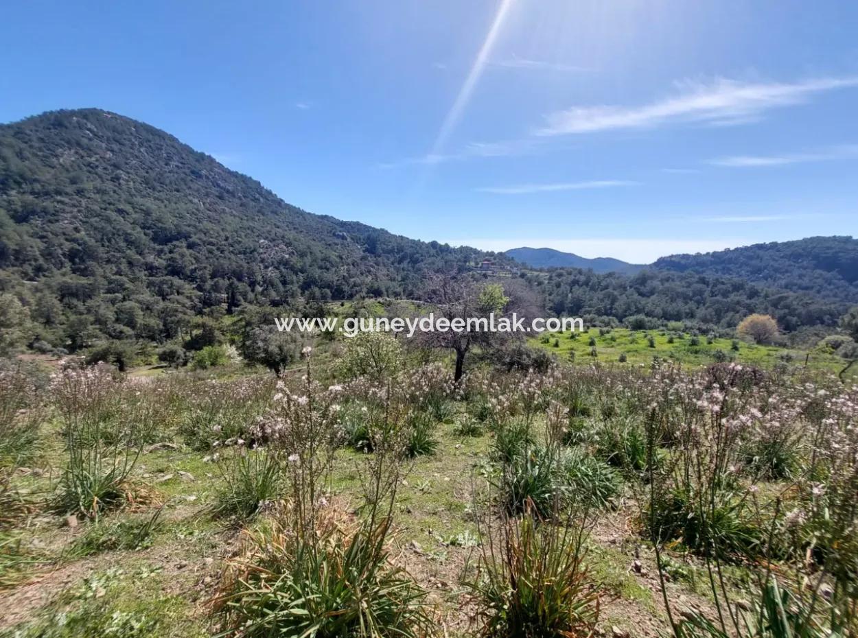 Ortaca Gökbelde 1896 M2 Land For Sale In Nature