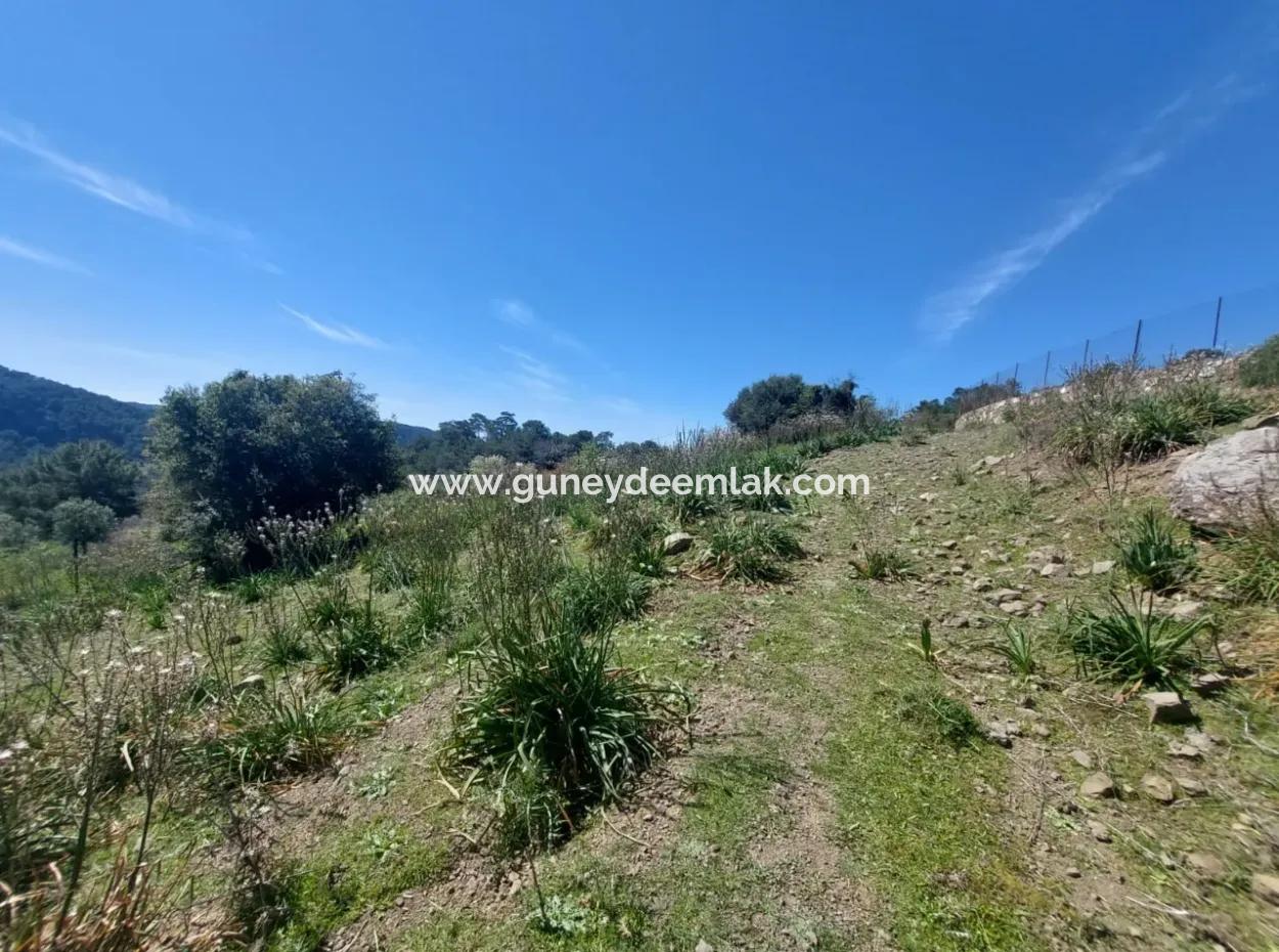 Ortaca Gökbelde 1896 M2 Land For Sale In Nature