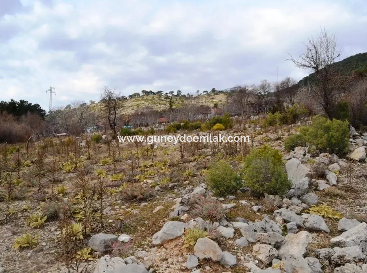 For Sale Bargain Land In Fethiye Ta Sty