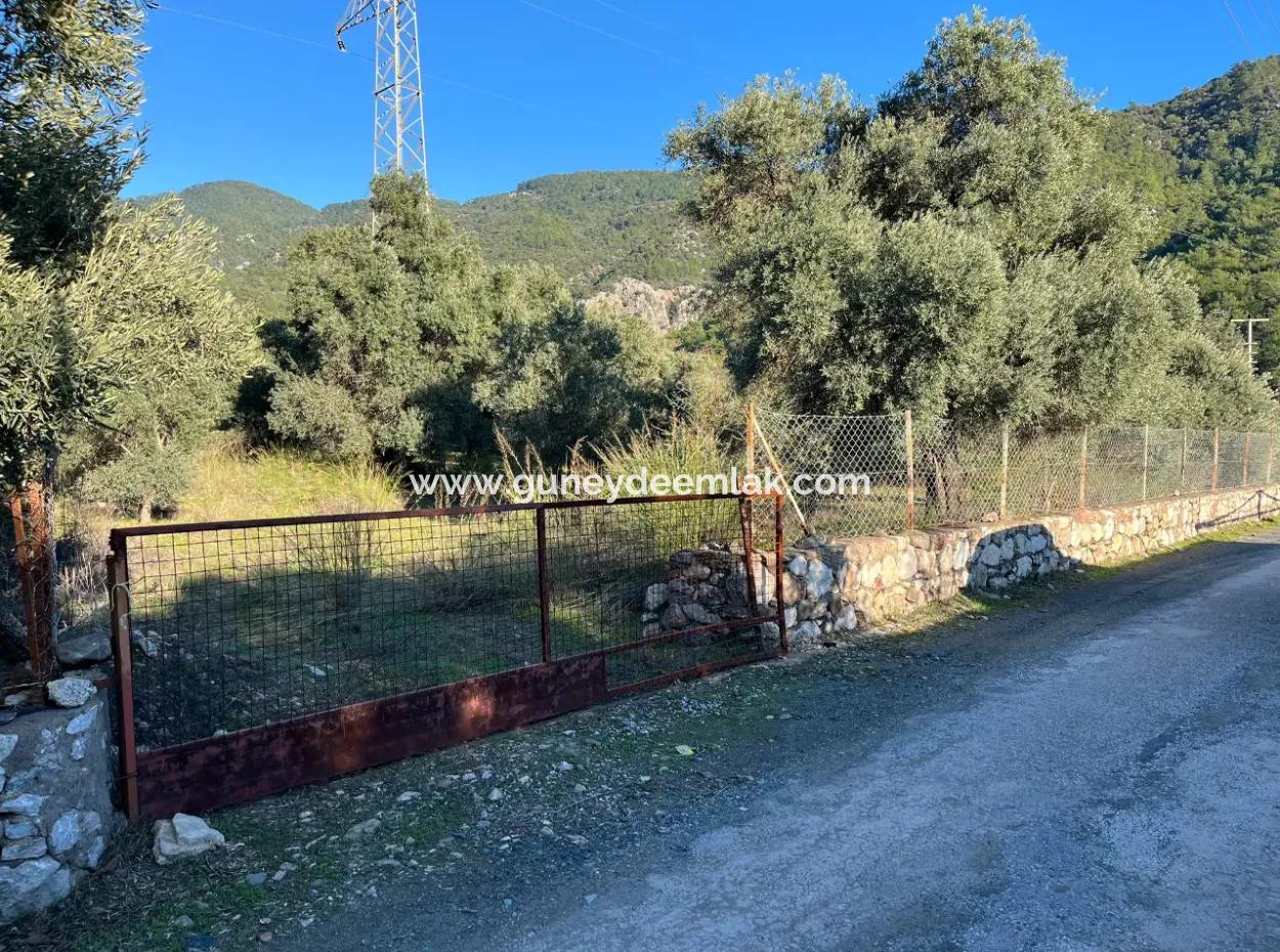 For Sale 3.300 M2 Land Suitable For Deposit In Muğla, Köyceğiz, Ekincik