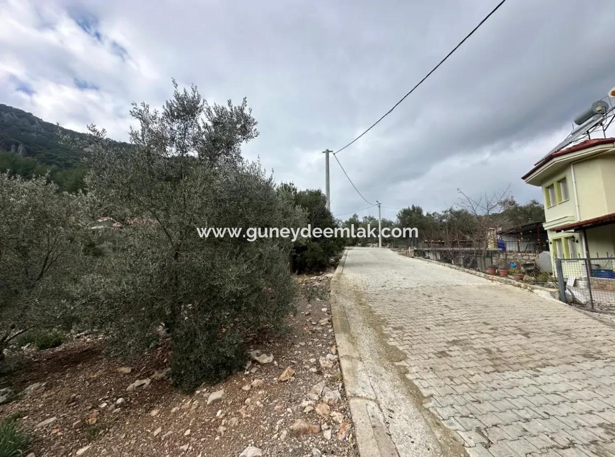 For Sale In Fethiye Gökçeovacıkta 1709 M2