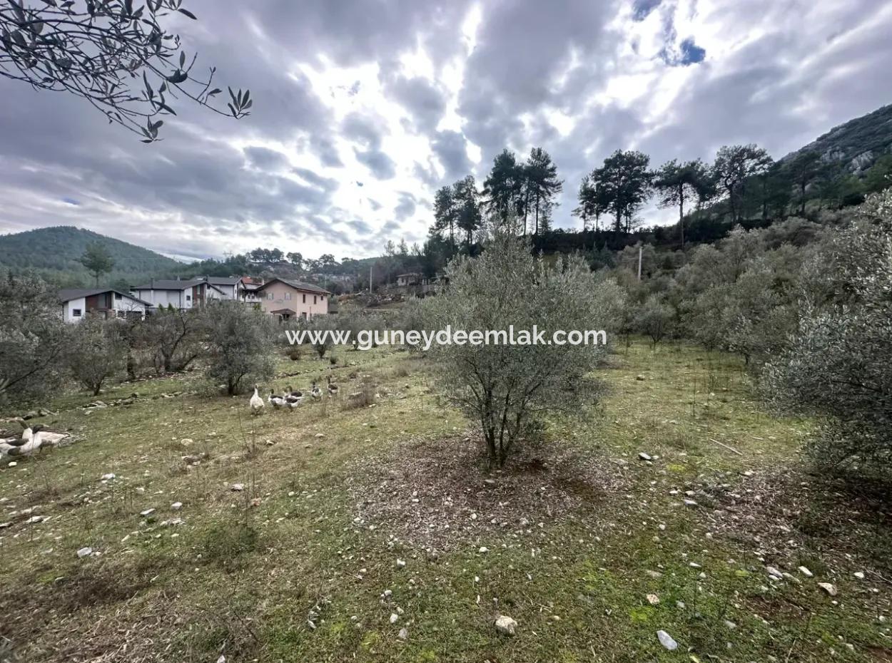 For Sale In Fethiye Gökçeovacıkta 1709 M2