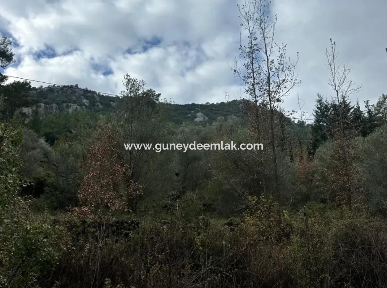 For Sale In Fethiye Gökçeovacıkta 1709 M2