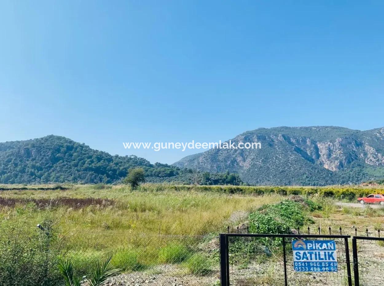 Fields Suitable For Cooperative In Ortaca Güzelyurt Are For Sale